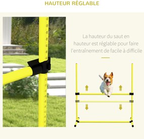Conjunto de 4 obstáculos profissionais para agility canino, com sistema de fixação ao solo e saco de transporte incluído