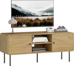 Móvel para televisão 120 x 40 x 50 cm, com capacidade para ecrãs até 55 polegadas, com 2 portas, 2 compartimentos abertos, pés em aço, cor carvalho