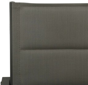 Cadeiras de jardim 2 pcs textilene e aço cinzento/antracite