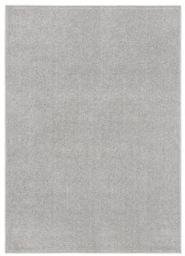 340324 vidaXL Tapete de pelo curto 140x200 cm cinzento-claro