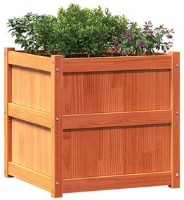 Vaso/floreira de jardim 60x60x60 cm pinho maciço castanho cera