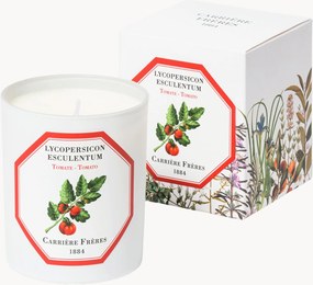 Vela perfumada Tomato (verde, fresca, ácida)