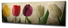 Pintura Decorativa em Tela PC147 – Multicolor – 30 x 80 cm