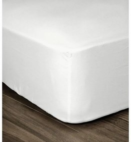 Lençol de Baixo Ajustável Lovely Home Branco 180 X 200 Cama Dupla (180 X 200 cm)