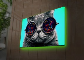 Quadro Decorativo com Luzes LED 4570DACT-61 – Multicolor – 45 x 70 cm
