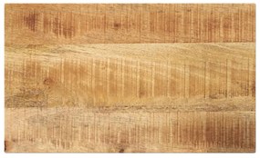 vidaXL Tampo de mesa retangular 60x20x3,8 cm mangueira áspera maciça
