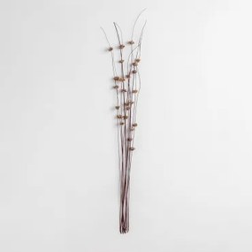 Pack De 10 Ramos Secos Decorativos Zínia Castanho - Sklum
