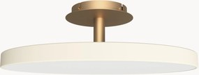 Candeeiro de teto LED regulável Asteria, vários tamanhos