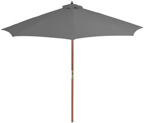 Guarda-sol de exterior com mastro de madeira 300 cm antracite