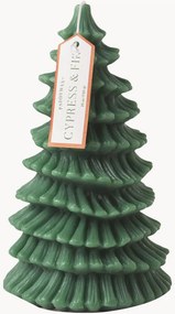 Vela cilíndrica Cypress & Fir