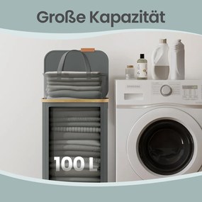 Cesto de roupa suja com tampa, 100L, 42 x 32 x 75 cm Cinzento