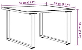 Mesa de Café de Jardim Castanho 55x55x35 cm DPC e Aço