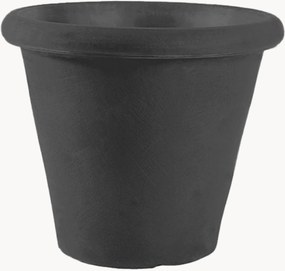 Vaso Camelia