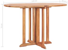 Mesa de jardim dobrável 120x70x75 cm madeira teca maciça