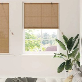 vidaXL Persianas e Sombras de Janela Marrom Claro 100 x 160 cm Bambu