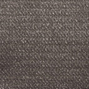 Para-sol estilo vela 160 g/m² 3x4x5 m PEAD antracite