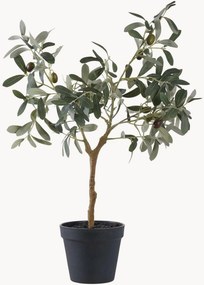 Planta artificial Olive