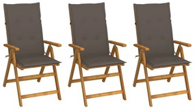 vidaXL Cadeiras de jardim dobráveis c/ almofadões 3 pcs acácia maciça