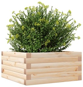 Vaso/floreira de jardim 50x50x23 cm madeira de pinho maciça