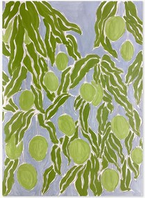 Póster Raw Mango