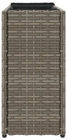 Floreira com 2 vasos 90x20x40 cm vime PE cinzento