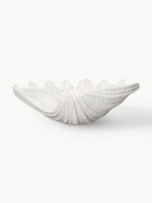 Taça de servir em dolomite com forma de concha Shell