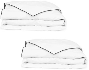 Edredão de inverno penugem 2 pcs 135x200 cm