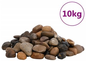 vidaXL Seixos polidos 10 kg 2-5 cm multicor