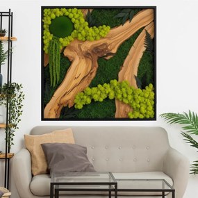 Autocolante quadrado Musgo – Parede orgânica e padrão de azeitona