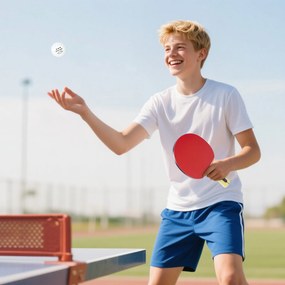 Raquetes de Ping Pong com 4 Raquetes, 8 Bolas e Estojo de Transporte para Iniciantes e Especialistas Vermelho