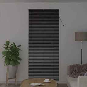 Persiana de Janela com cortinas Outros Manual Preto 90 x 220 cm Alumín