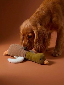 Brinquedo multi texturas pato, para cão avelã