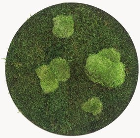 Quadro de parede artesanal com musgo circular Forest & Ball