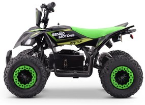 Moto 4 elétrica para crianças ATV Motors Raptor 800W Verde