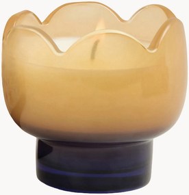 Vela perfumada em vidro Tulip (Garden, Grove)
