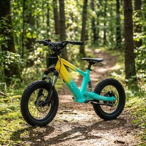 Bicicleta elétrica infantil 350W 16" Roan RXF Evo-S Verde e Amarela