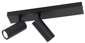 Candeeiro de teto moderno preto 2 luzes ajustáveis - Renna