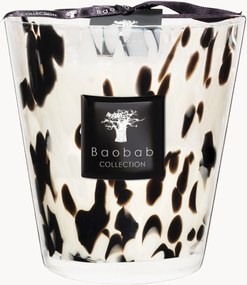 Vela perfumada Black Pearls (toranja, gengibre, rosa)