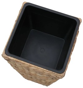 Vasos/floreiras 3 pcs jacinto de água castanho