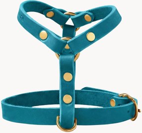 Peitoral para cão em pele Y-Harness, vários tamanhos