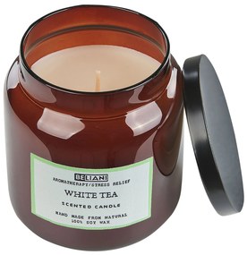 Conjunto de 2 velas perfumadas em cera de soja chá branco/algodão ABSOLUTE ALCHEMY Beliani