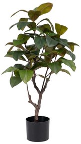 Planta Decorativa 67 X 62 X 100 cm Verde Borracha Natural Pvc