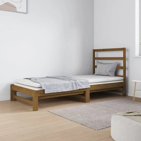 3124750 vidaXL Estrutura sofá-cama de puxar 2x(90x190)cm pinho maciço castanho