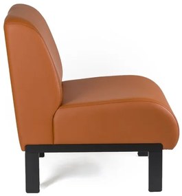 Sofas para Escritorio Vintage Duplo (sofá Receção)