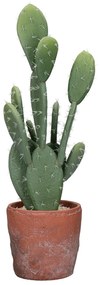 Plantas e Flores Artificiais Pomax  TERRACOTTA LOVE
