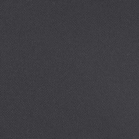 Toldo lateral retrátil 180x500 cm preto