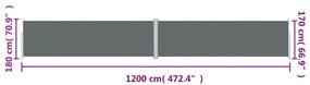 Toldo lateral retrátil 180x1200 cm antracite