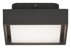 Nexus IP65