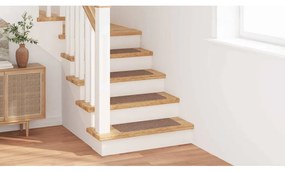 Tapetes de Escada vidaXL com Fundo de Látex Marrom 25x60 cm