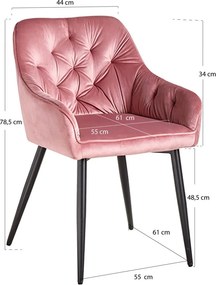 Cadeira Salle Veludo - Rosa